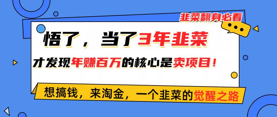 悟了，当了3年韭菜，才发现网赚圈年赚100万的核心是卖项目，含泪分享！-卧狐科技网