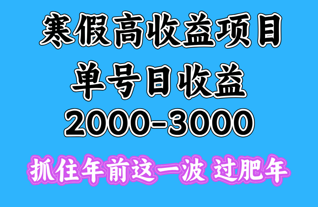 寒假期间一天收益2000-3000+，抓住年前这一波-卧狐科技网
