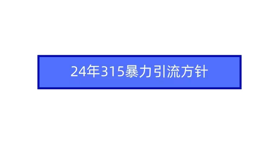 2024年315暴力引流方针-卧狐科技网