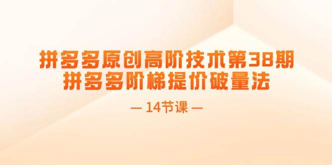 拼多多原创高阶技术第38期，拼多多阶梯提价破量法（14节课）-卧狐科技网