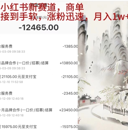 小红书新赛道，商单接到手软，涨粉迅速，一个月1w+-卧狐科技网