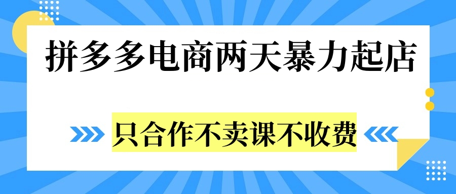 拼多多两天暴力起店，只合作不卖课不收费-卧狐科技网