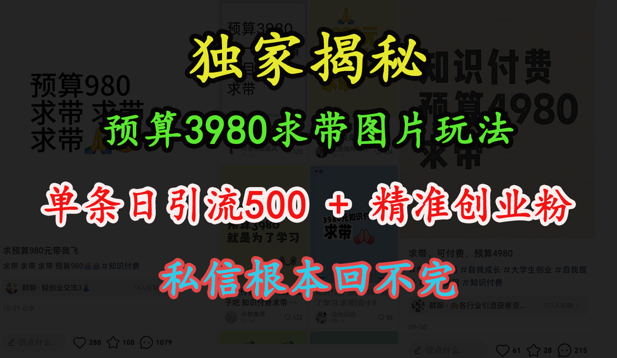 “小红书”预算3980求带 图片玩法，单条日引流500+精准创业粉，私信根本回不完-卧狐科技网
