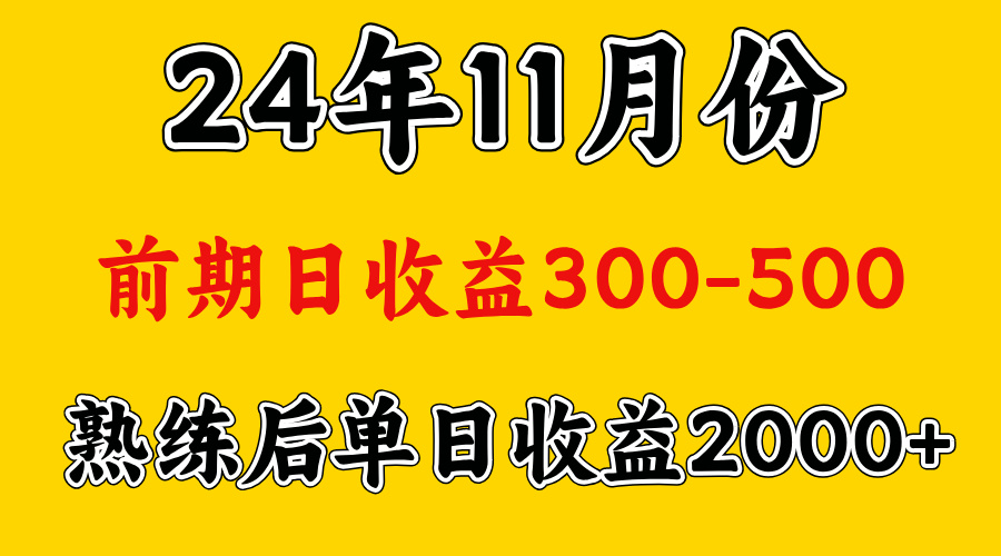 轻资产项目，前期日收益500左右，后期日收益1500-2000左右，多劳多得-卧狐科技网