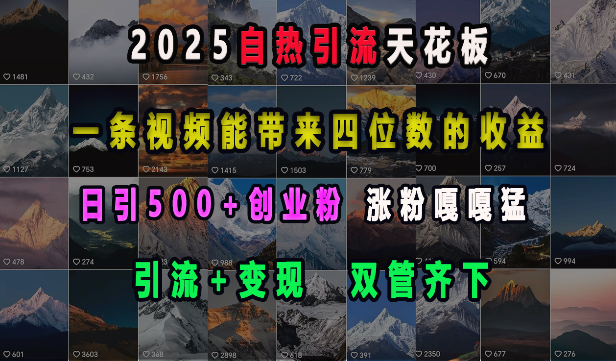 2025自热引流天花板，一条视频能带来四位数的收益，引流+变现双管齐下，日引500+创业粉，涨粉嘎嘎猛-卧狐科技网