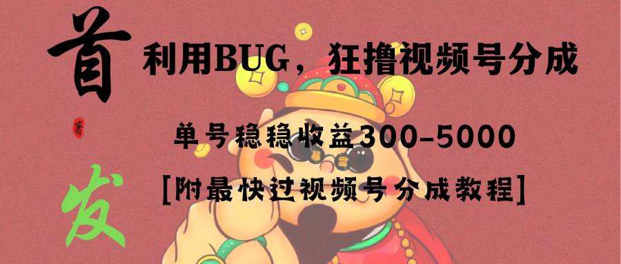 全网独家首发，视频号BUG，超短期项目，单号每日净收益300-5000！-卧狐科技网