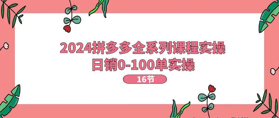 2024拼多多全系列课程实操，日销0-100单实操【16节课】-卧狐科技网