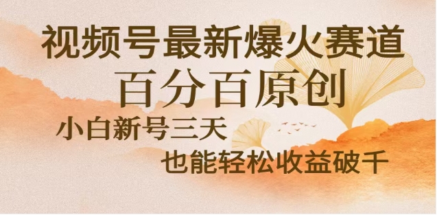 视频号独家玩法，老年养生赛道，无脑搬运爆款视频，日入2000+-卧狐科技网