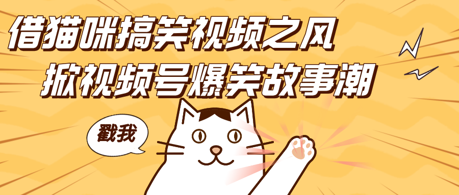 借猫咪搞笑视频之风，掀视频号爆笑故事潮，轻松日赚四位数，开启无门槛赚钱新体验！-卧狐科技网
