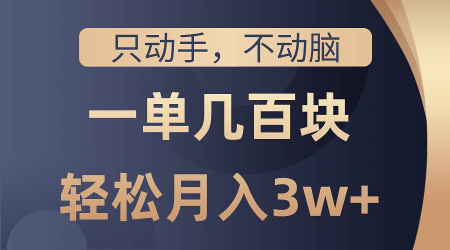 只动手不动脑，一单几百块，轻松月入3w+，看完就能直接操作，详细教程-卧狐科技网