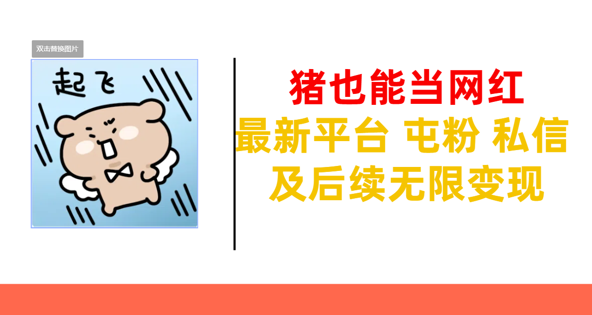 猪也能当网红-最新平台 屯粉 交流 私信 及后续无限变现-卧狐科技网
