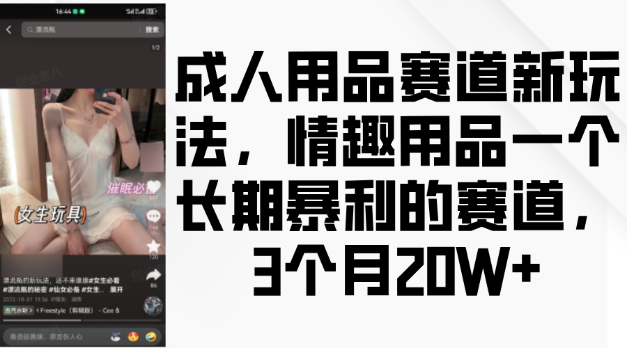 情趣用品一个长期暴利的赛道，成人用品赛道新玩法，3个月20W+-卧狐科技网