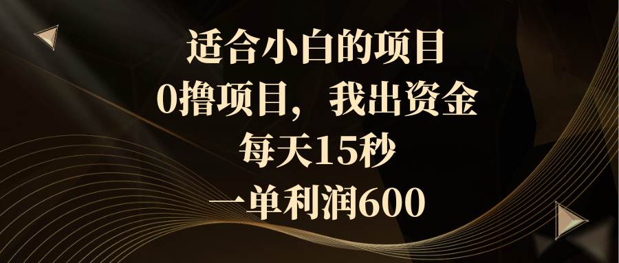 适合小白的项目，0撸项目，我出资金，每天15秒，一单利润600-卧狐科技网