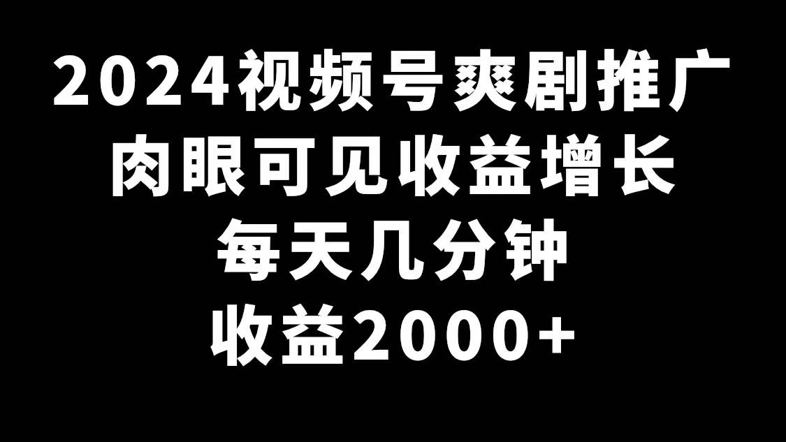 2024视频号爽剧推广，肉眼可见的收益增长，每天几分钟收益2000+-卧狐科技网