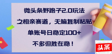 全网首发微头条野路子2.0玩法之相亲赛道，无脑搬砖复制粘贴，单账号日稳定300+保姆级教程-卧狐科技网