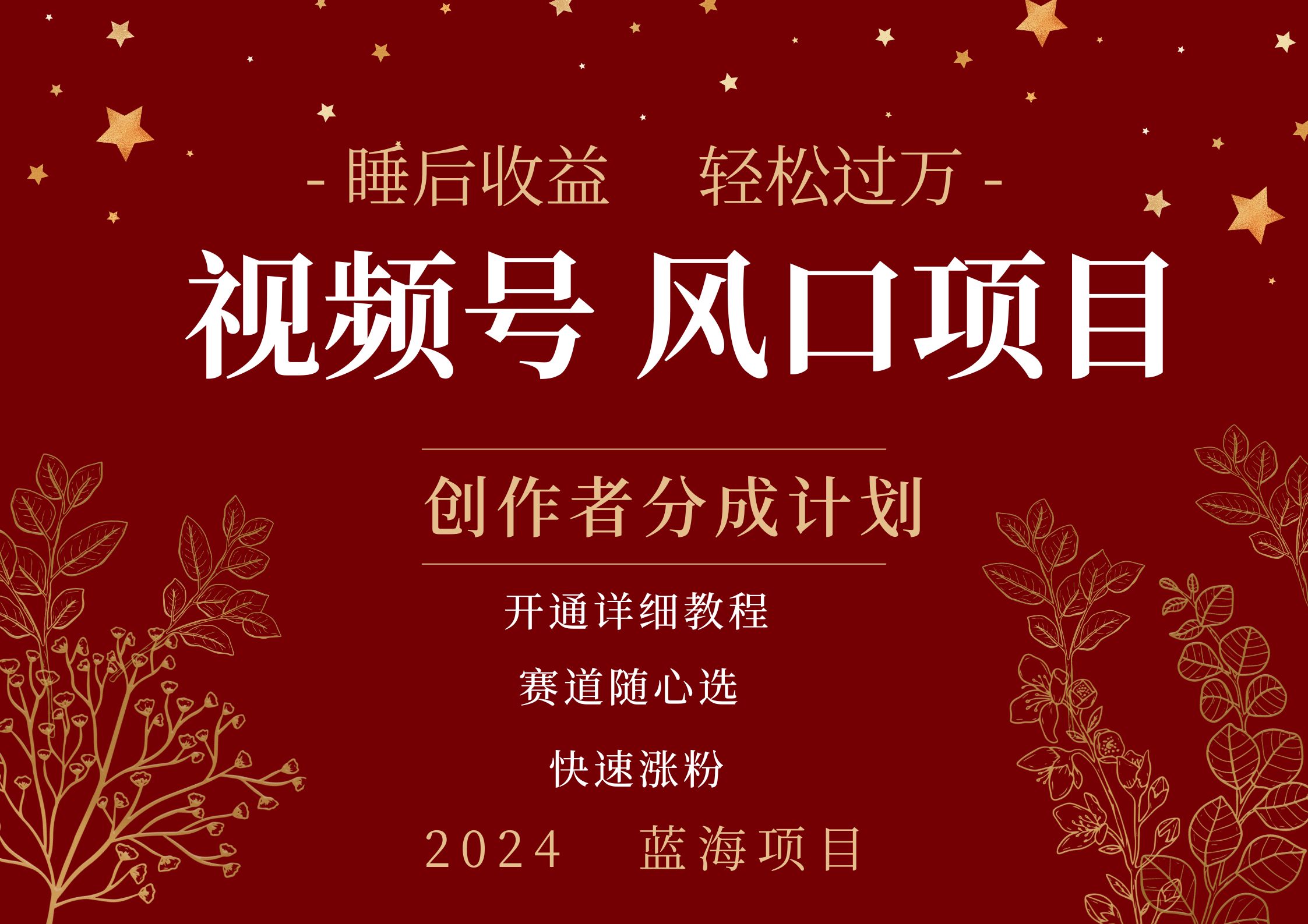 拥有睡眠收益的微信视频号大风口项目，轻松月入过万+，多赛道选择，可矩阵，玩法简单轻松上手-卧狐科技网