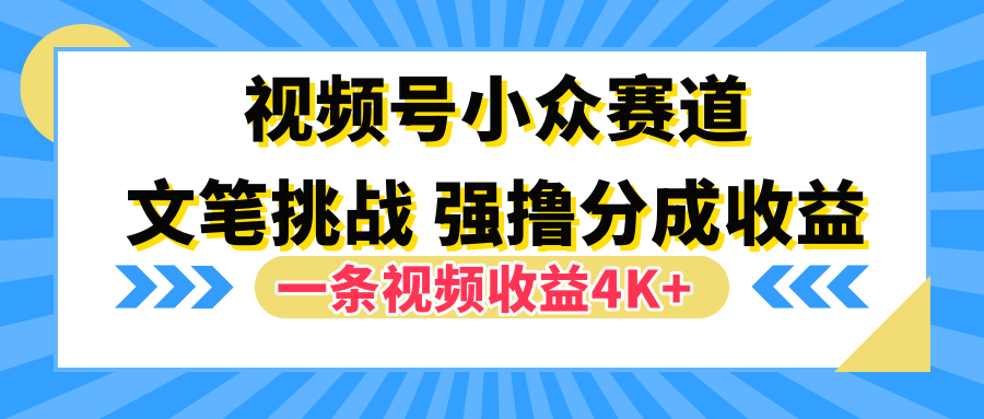 视频号小众赛道，文笔挑战，一条视频收益4K+-卧狐科技网