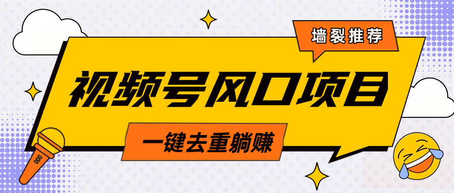 视频号风口蓝海项目，中老年人的流量密码，简单无脑，一键去重，轻松月入过万-卧狐科技网