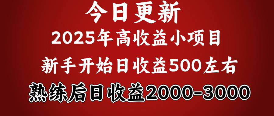 2025开年好项目，新手日收益500+ 熟练掌握后，日收益平均2000多-卧狐科技网