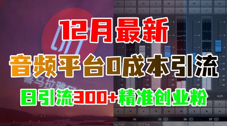 12月最新：音频平台0成本引流，日引300+精准创业粉-卧狐科技网