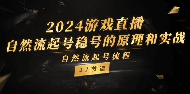 2024游戏直播-自然流起号稳号的原理和实战，自然流起号流程（11节）-卧狐科技网