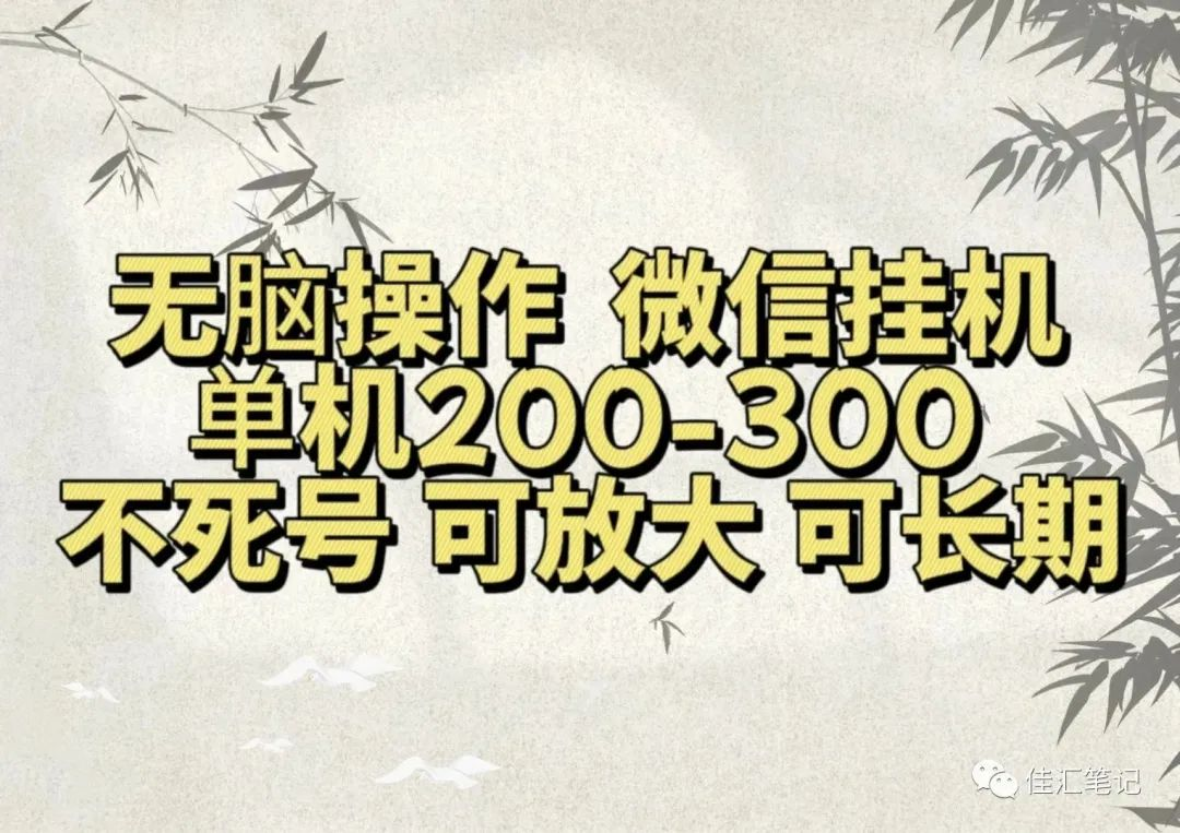 无脑操作微信视频号挂机单机200-300一天，不死号，可放大，工作室实测-卧狐科技网