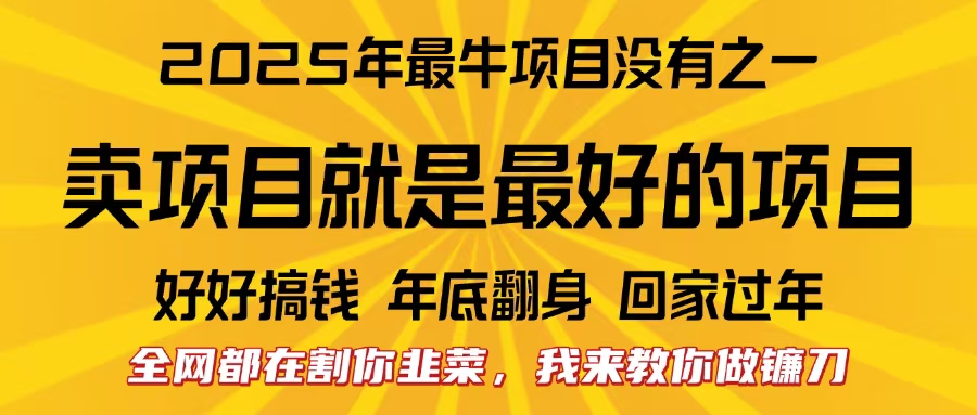 全网都在割你韭菜，我来教你做镰刀。卖项目就是最好的项目，2025年最牛互联网项目-卧狐科技网