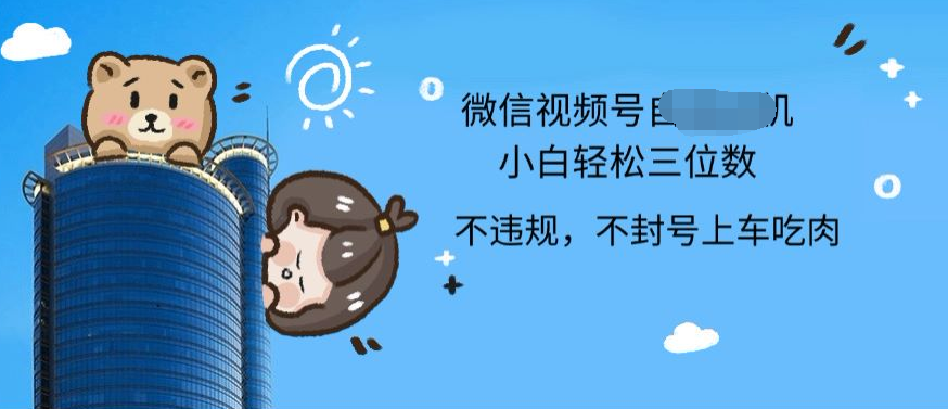 2024最新微信视频号挂机小白可上手，轻松日入三位数-卧狐科技网