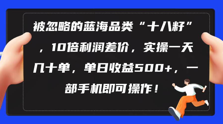 被忽略的蓝海品类“十八籽”，10倍利润差价，实操一天几十单 单日收益500+-卧狐科技网