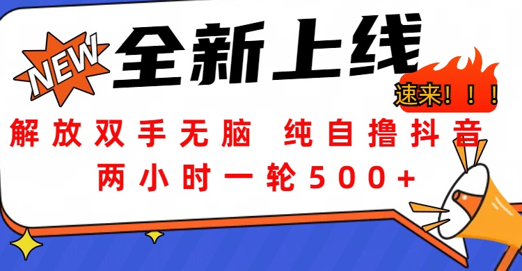 解放双手无脑 纯自撸抖音 两小时一轮500+-卧狐科技网