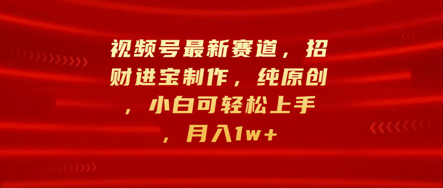 视频号最新赛道，招财进宝制作，纯原创，小白可轻松上手，月入1w+-卧狐科技网