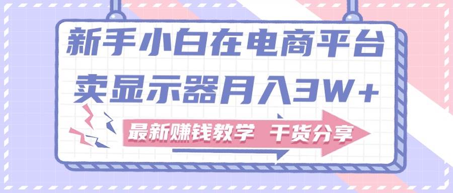 新手小白如何做到在电商平台卖显示器月入3W+，最新赚钱教学干货分享-卧狐科技网