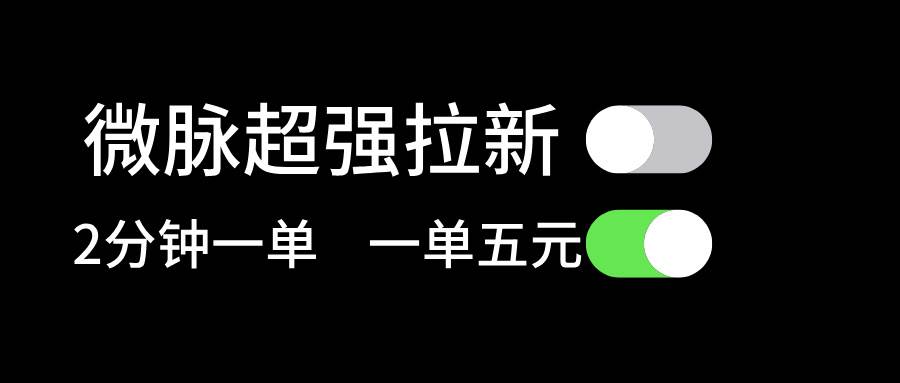 微脉超强拉新， 两分钟1单， 一单利润5块，适合小白-卧狐科技网