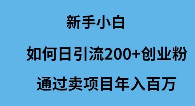 新手小白如何日引流200+创业粉通过卖项目年入百万-卧狐科技网