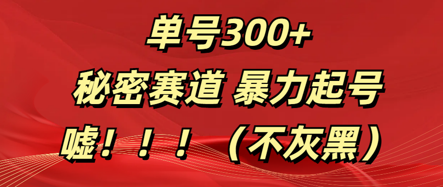 单号300+  秘密赛道 暴力起号  （不灰黑）-卧狐科技网