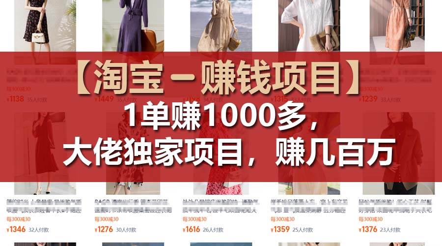 【淘宝赚钱项目】1单可赚1000多，大佬独家项目，年赚几百万-卧狐科技网