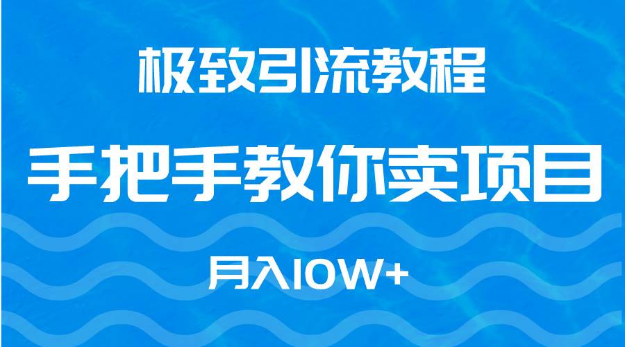极致引流教程，手把手教你卖项目，月入10W+-卧狐科技网