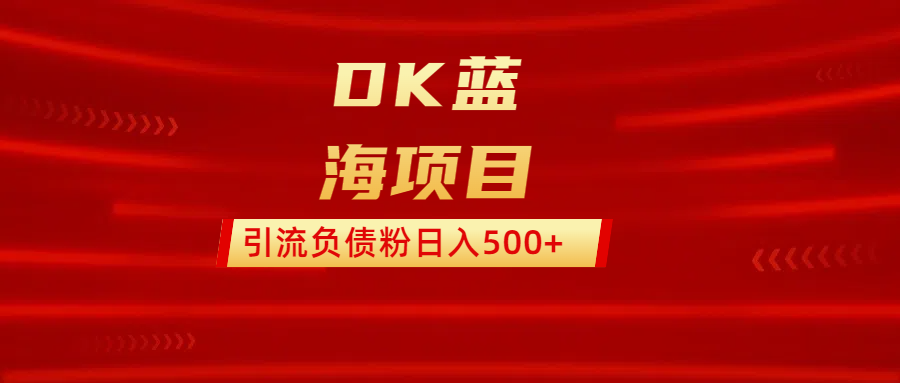 DK蓝海项目  通过，抖音，快手，小红书，引流负债粉日入500+-卧狐科技网