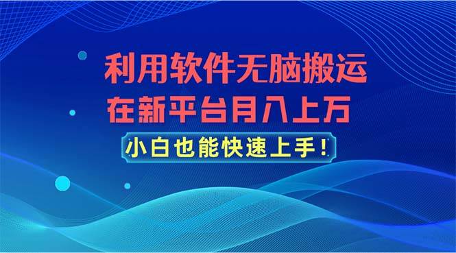 利用软件无脑搬运，在新平台月入上万，小白也能快速上手-卧狐科技网
