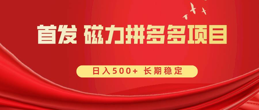 首发 磁力拼多多自撸  日入500+-卧狐科技网