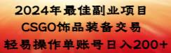 2024年最佳副业项目 CSGO饰品装备交易 轻易操作单账号日入200+-卧狐科技网