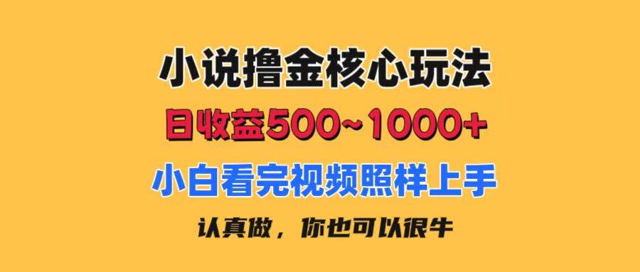 小说撸金核心玩法，日收益500-1000+，小白看完照样上手，0成本有手就行-卧狐科技网