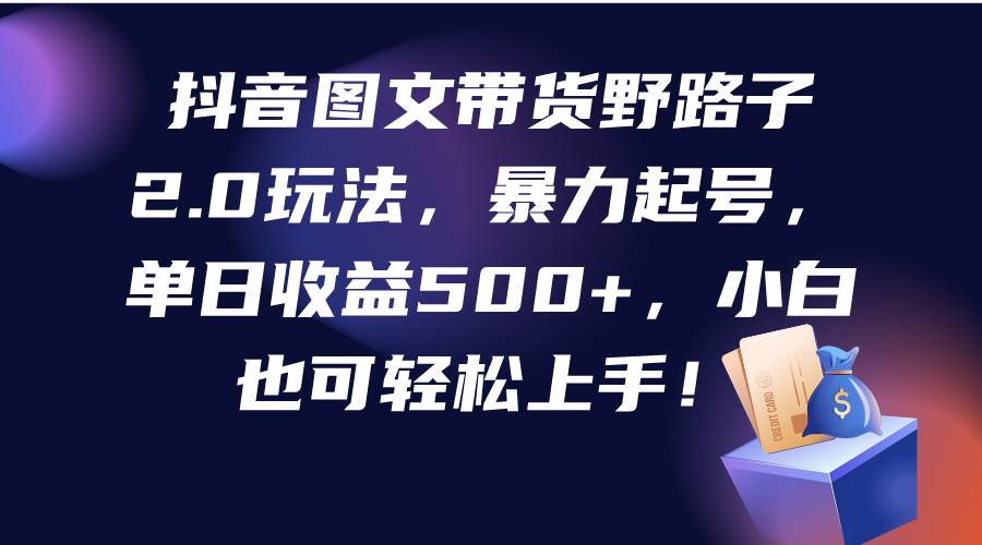 抖音图文带货野路子2.0玩法，暴力起号，单日收益500+，小白也可轻松上手！-卧狐科技网