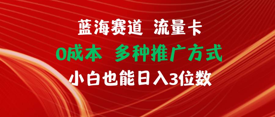 蓝海赛道 流量卡 0成本 小白也能日入三位数-卧狐科技网