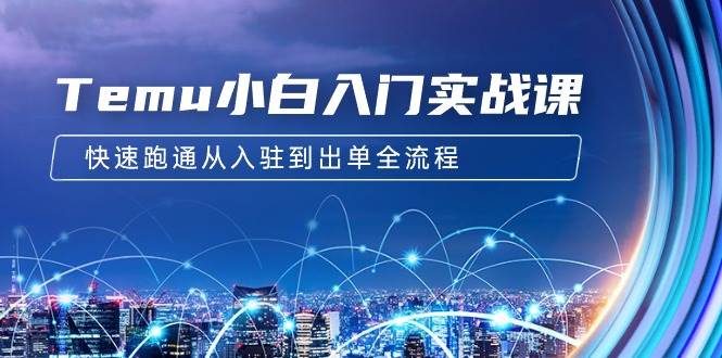 Temu小白入门实战课：跨境拼多多电商培训 快速跑通从入驻到出单全流程-12节-卧狐科技网