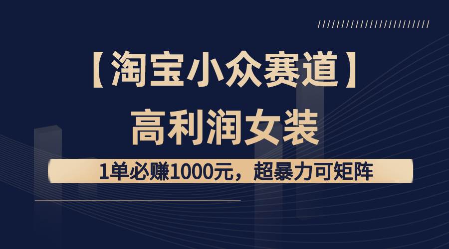 【淘宝小众赛道】高利润女装：1单必赚1000元，超暴力可矩阵-卧狐科技网