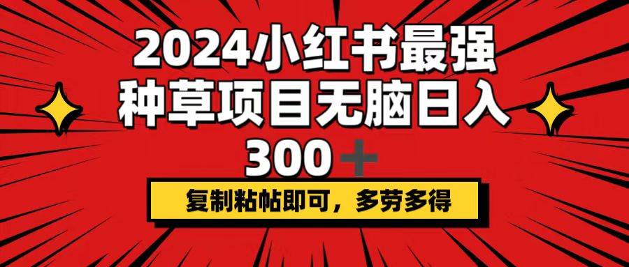 2024小红书最强种草项目，无脑日入300+，复制粘帖即可，多劳多得-卧狐科技网
