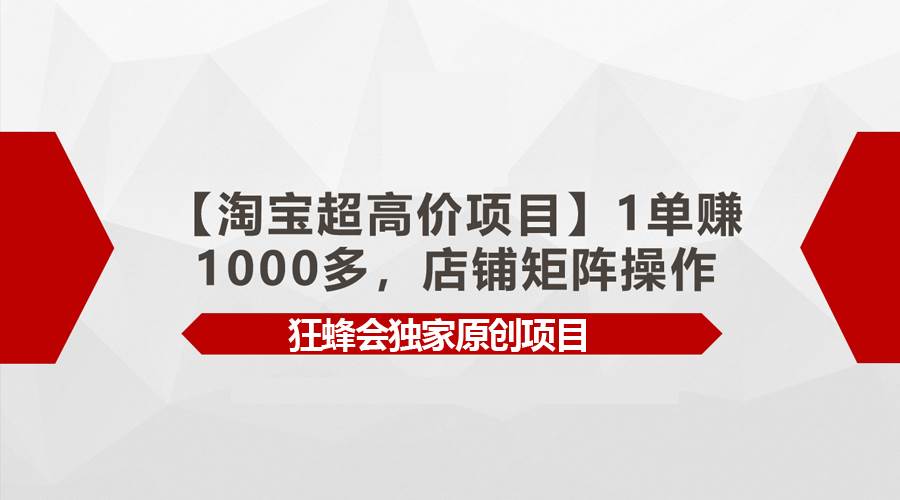 【淘宝超高价项目】1单赚1000多，店铺矩阵操作-卧狐科技网