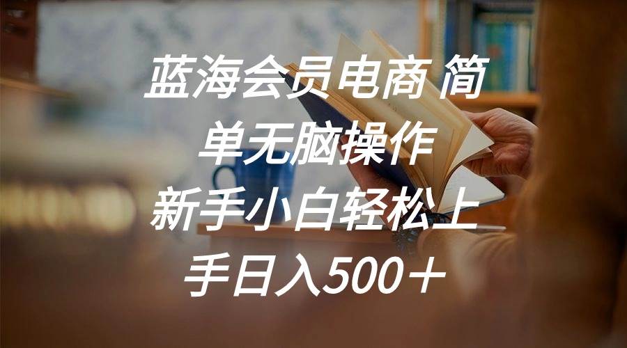 蓝海会员电商 简单无脑操作 新手小白轻松上手日入500＋-卧狐科技网