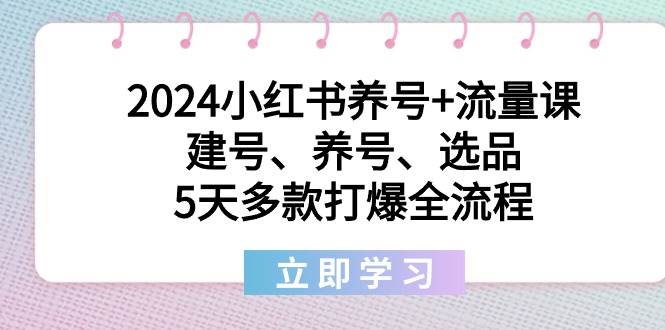 2024小红书养号+流量课：建号、养号、选品，5天多款打爆全流程-卧狐科技网